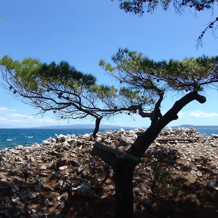 Lavandula With Heated Swimming Pool Apartman *